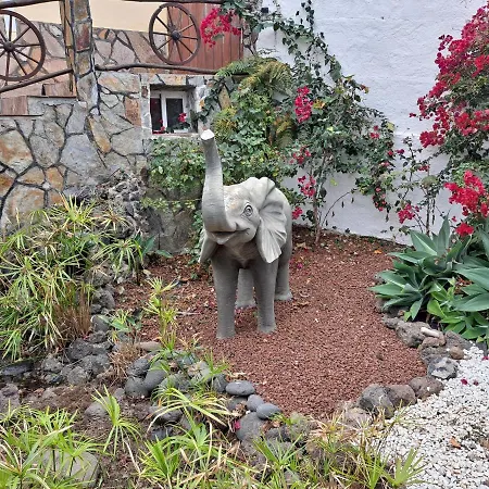 Apartment Tenerife 100m2 Casa De Don Quijote With A Terrace Of 100m2 With A View Of The Ocean And Teide Volcano And A Garden Of 600m2