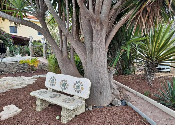 Tenerife 100m2 Casa De Don Quijote With A Terrace Of 100m2 With A View Of The Ocean And Teide Volcano And A Garden Of 600m2 * Icod De Los Vinos