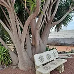 Tenerife 100m2 Casa De Don Quijote With A Terrace Of 100m2 With A View Of The Ocean And Teide Volcano And A Garden Of 600m2 *