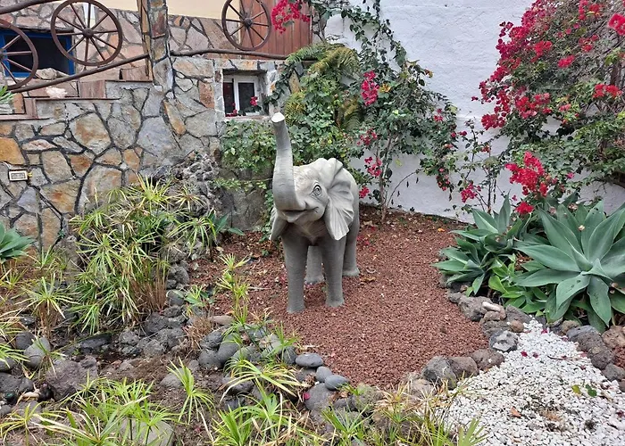 Apartamento Tenerife 100m2 Casa De Don Quijote With A Terrace Of 100m2 With A View Of The Ocean And Teide Volcano And A Garden Of 600m2